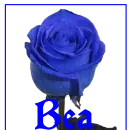 Bea's blue rose
