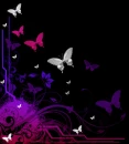 dark butterfly BG