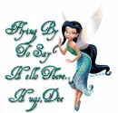 Flying By To Say Hello There,Hugs Dee