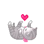 Kitten