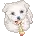 cute puppy