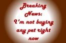 Not Buying U
