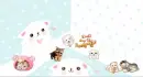 cute dog