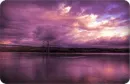 PURPLE LAKE