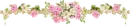pink and white flowers