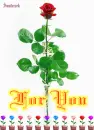 For YOU My Angel