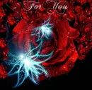 Rose for You 