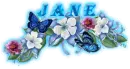jane blue flowers