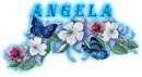 Angela blue flowers