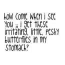 butterflies