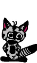 cute racoon