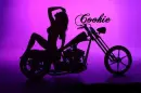 Cookie