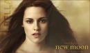 Bella New Moon