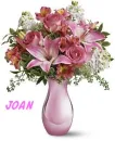 Pretty Pink Flowers - Joan