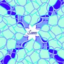 Overlapping Flower Abstract Sam