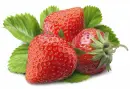 Fruit.