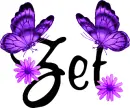 Zet