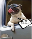 hello!