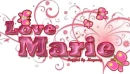 Flower & Butterfuly name tag