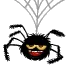 spider