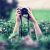 camera hedge