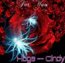 Red rose ~~ For Cindy