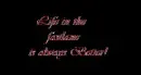 Life in Fastlane