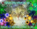 WHEN YOU THINK OF ME...