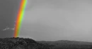 Color Splash- Rainbow