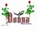 dove ~~ For Donna
