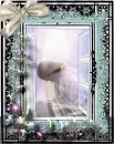 At the window