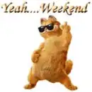cool garfield