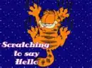 garfield