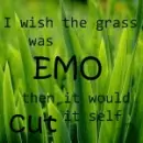 I Wish...