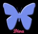 Diva Butterfly