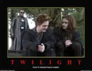anti-twilight