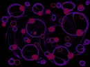 The Cirlces