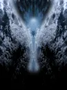 ANGELS