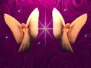 ANGELS