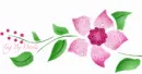 Pink Flower