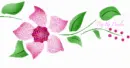 Pink Flower