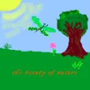 the beauty of nature