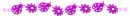 Bugs Purple