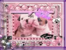 hugs and kisses