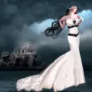 Web of darkness