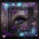 eye of purple