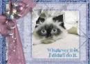 I IZ N-O-CENT!