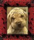 Please?? I can have a home?