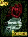 rose ~~ for Anaterium