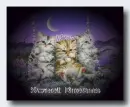 Sweet Dream Kittens